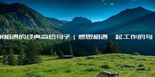 感谢相遇的经典简短句子（感恩相遇一起工作的句子）