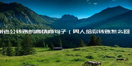 感谢老公转账的高情商句子（男人给你转账怎么回复高情商）.docx-免费下载(word版可打印)