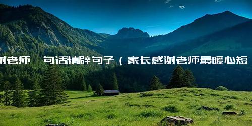 感谢老师一句话精辟句子（家长感谢老师最暖心短句）