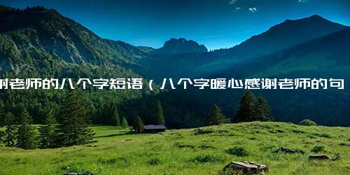 感谢老师的八个字短语（八个字暖心感谢老师的句子）