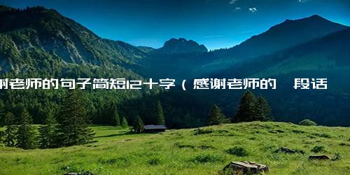 感谢老师的句子简短12十字（感谢老师的一段话简短一点）