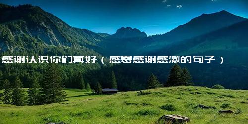 感谢认识你们真好（感恩感谢感激的句子）