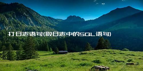 打日志语句(取日志中的SQL语句)