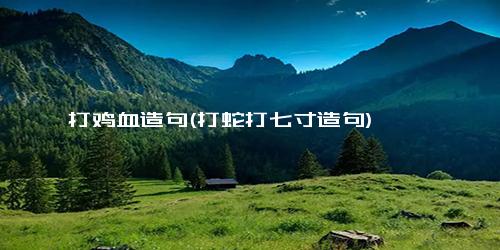 打鸡血造句(打蛇打七寸造句)