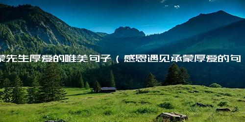 承蒙先生厚爱的唯美句子（感恩遇见承蒙厚爱的句子）