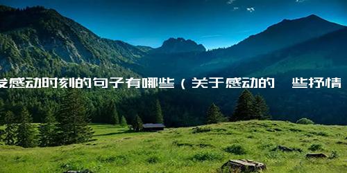抒发感动时刻的句子有哪些（关于感动的一些抒情语句）