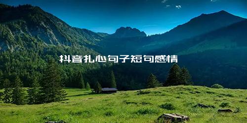 抖音扎心句子短句感情