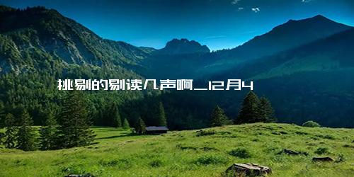 挑剔的剔读几声啊_12月4