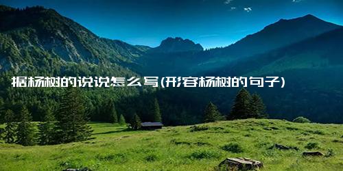 据杨树的说说怎么写(形容杨树的句子)