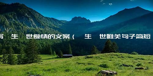 描写一生一世爱情的文案（一生一世唯美句子简短）