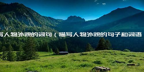 描写人物外貌的词句（描写人物外貌的句子和词语）