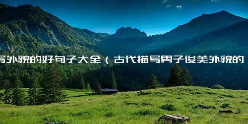 描写外貌的好句子大全（古代描写男子俊美外貌的诗句）