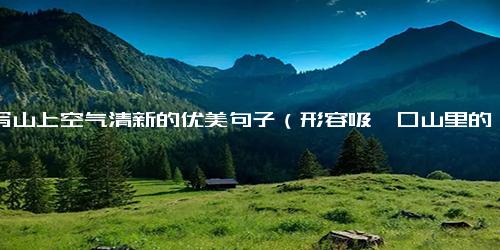 描写山上空气清新的优美句子（形容吸一口山里的空气）
