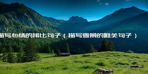 描写心情的排比句子（描写雪景的唯美句子）