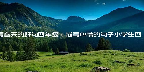 描写春天的好句四年级（描写心情的句子小学生四年级）