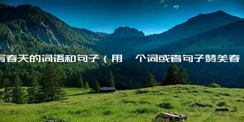 描写春天的词语和句子（用一个词或者句子赞美春天）