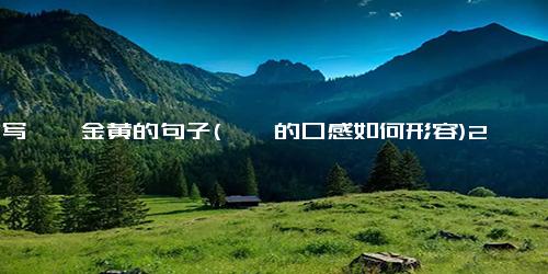 描写枇杷金黄的句子(枇杷的口感如何形容)2