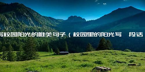 描写校园阳光的唯美句子（校园里的阳光写一段话）