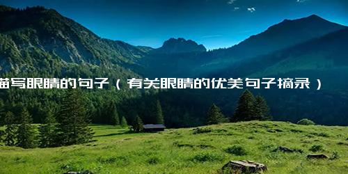 描写眼睛的句子（有关眼睛的优美句子摘录）