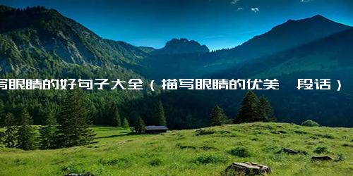 描写眼睛的好句子大全（描写眼睛的优美一段话）