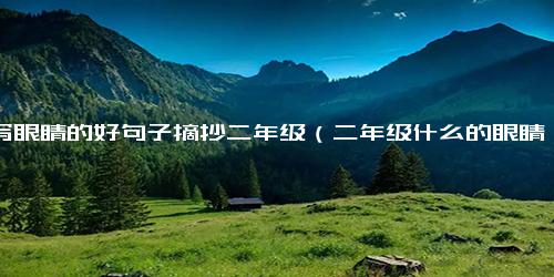 描写眼睛的好句子摘抄二年级（二年级什么的眼睛填空）
