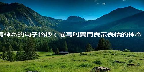 描写神态的句子摘抄（描写时要用表示表情的神态词语）