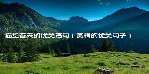 描绘春天的优美语句（赏梅的优美句子）