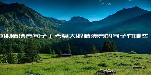 描述眼睛漂亮句子（夸赞大眼睛漂亮的句子有哪些）