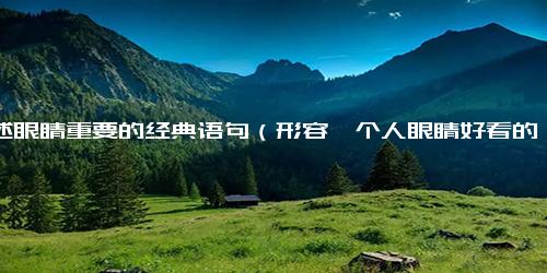 描述眼睛重要的经典语句（形容一个人眼睛好看的句子）