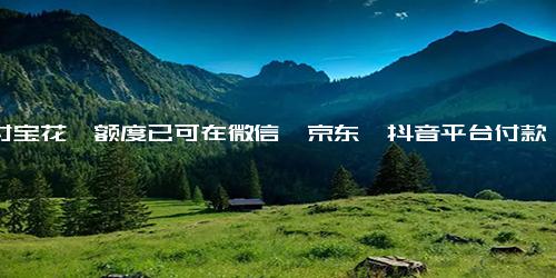 支付宝花呗额度已可在微信、京东、抖音平台付款，需绑定南京银行账户