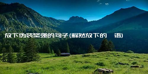 放下伪装坚强的句子(释然放下的禅语)