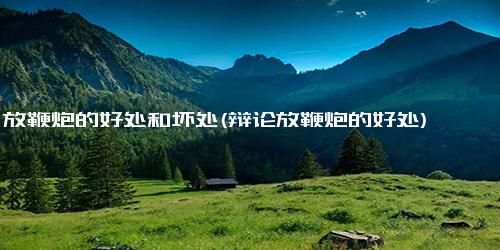 放鞭炮的好处和坏处(辩论放鞭炮的好处)