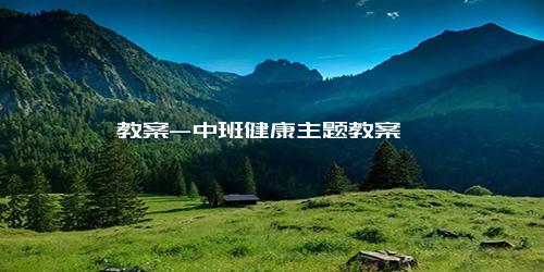 教案-中班健康主题教案
