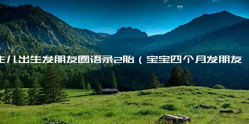 新生儿出生发朋友圈语录2胎（宝宝四个月发朋友圈经典语录）