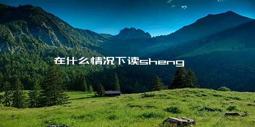 旌在什么情况下读sheng