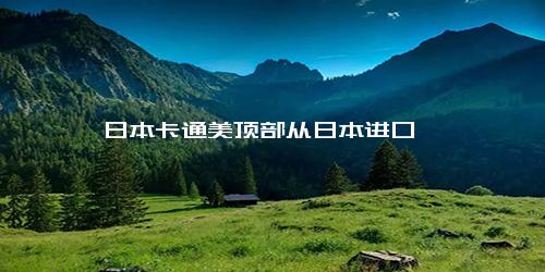 日本卡通美顶部从日本进口
