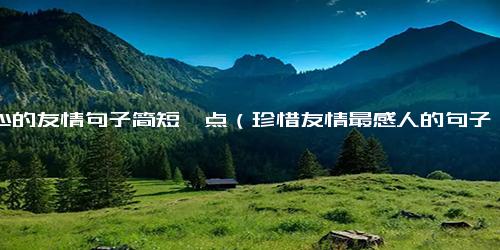 暖心的友情句子简短一点（珍惜友情最感人的句子）