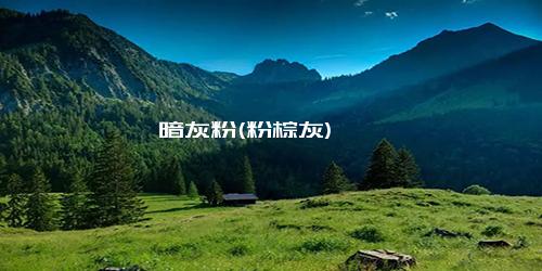 暗灰粉(粉棕灰)