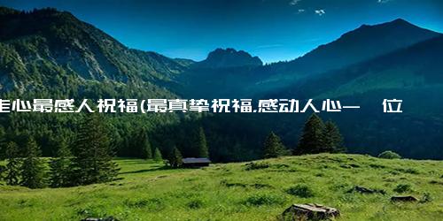 最走心最感人祝福(最真挚祝福，感动人心-一位母亲给儿子的信四次转运，终与儿子重逢)