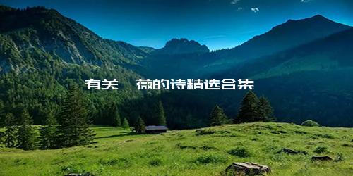 有关蔷薇的诗精选合集