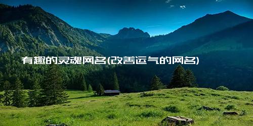 有趣的灵魂网名(改善运气的网名)