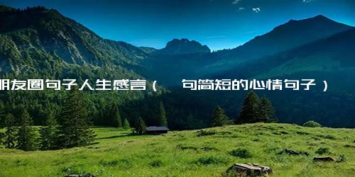 朋友圈句子人生感言（一句简短的心情句子）