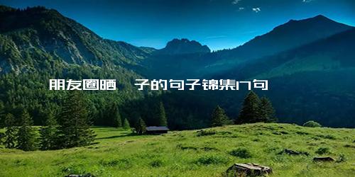 朋友圈晒粽子的句子锦集17句