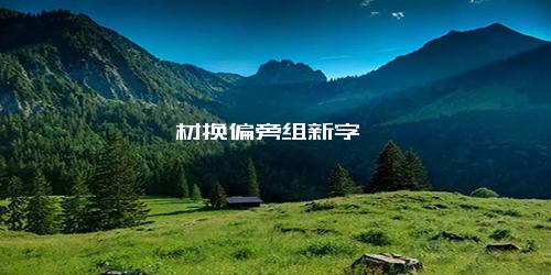 材换偏旁组新字