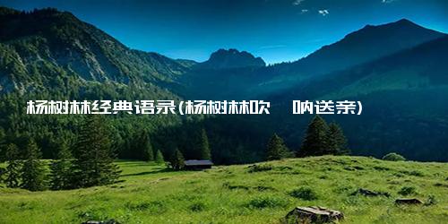 杨树林经典语录(杨树林吹唢呐送亲)