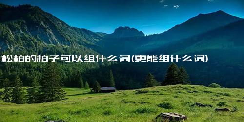 松柏的柏子可以组什么词(更能组什么词)