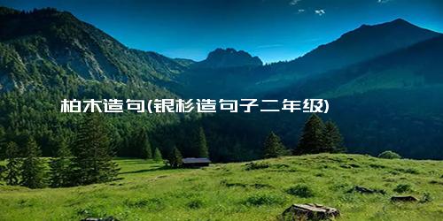 柏木造句(银杉造句子二年级)