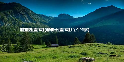 柏树造句(枫叶造句八个字)