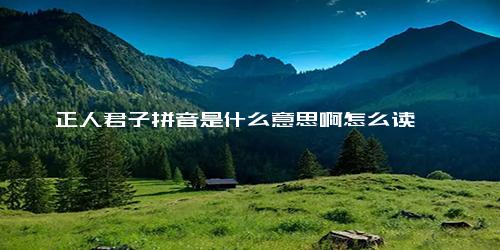 正人君子拼音是什么意思啊怎么读