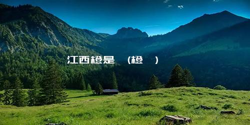 江西橙是桔(橙桔)